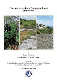 Image result for Erythroxylum platycladum