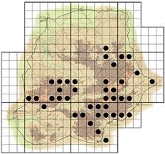 Image result for Searsia dentata