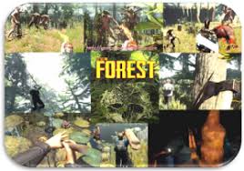 The forests game is a first individual endurance repulsiveness computer game. Newly Updated The Forest Free Download Pc Game Full Version