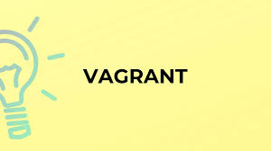 Here you find 15 meanings of the word vagrant. What Is The Meaning Of The Word Vagrant Youtube