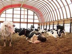We did not find results for: 11 Best Wood Mulch Animal Bedding Ideas Wood Mulch Animals Cattle