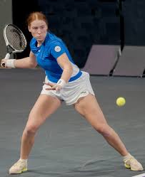 Image result for Seidelia