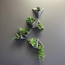 Modern hanging planters are a unique and creative way to show off your house plants, especially if you lack enough floor or counter space. Tessellations Modern Wall Planter Set Of 3 Muur Plantenbak Muur Plant Plantendecor