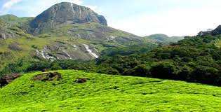 25 top highest mountain peaks in Kerala › Holiday Rentals
