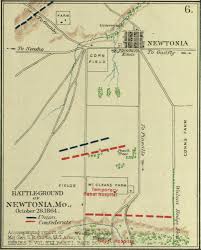 Image result for Newtonia