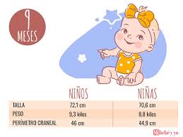 Os meses sóbrio são uma banda que funde rock viajante com elementos de eletrónica composta por manu. Bebe De 9 Meses Desarrollo Del Bebe Mes A Mes