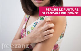 Da adulti, le zanzare servono come cibo altrettanto nutriente per uccelli, pipistrelli e ragni. A Cosa Servono Le Zanzare In Natura