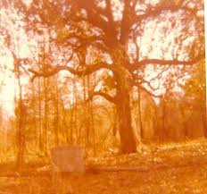 Cotton Gin Port abandoned port