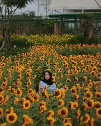 Yuk Loburan Bersama Travelbandung Co Id Untuk Jelajah Bandung Sesukamu Fan Dapatkan Oengalaman Yang Menyenangkan Photo By Antii Sky Garden Trip Instagram