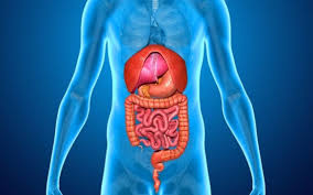 Για πολλούς ασθενείς με σύνδρομο ευερεθίστου εντέρου, οι οποίοι. Eileos Ti Ton Prokalei Kai Giati Xrhzei Ameshs Antimetwpishs Onmed Gr