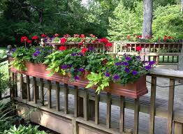 Our deck outside the kitchen is the perfect place to grow you can make these deck railing planter boxes any size you want! Deck Rail Planters And How They Can Help You To Transform Your Home Beautiful House Design Ideas Deck Planters Deck Railing Planters Railing Planters