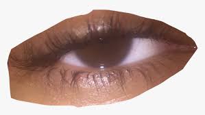 Maybe you would like to learn more about one of these? Transparent Sad Eyes Png Brown Eyes Aesthetic Png Download Transparent Png Image Pngitem