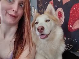 Lost Dogs in Lincoln, Nebraska Area