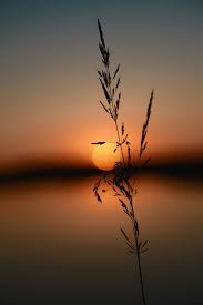 Evening S Picture By Mmf91 Http Ift Tt 1stow3z Nature Pictures Sunset Photography Nature Photography