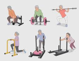 Image result for Geriatric Strength Training