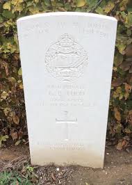 Search for "Todd" in lastname