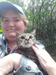 Found cat in Wentworth area with microchip