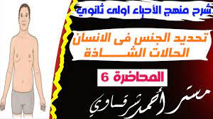 6#شرح تحديد الجنس في الإنسان و الحالات الكروموسوميه الشاذه| احياء اولى  ثانوي الترم الثاني 2023 🦾❤️ - YouTube
