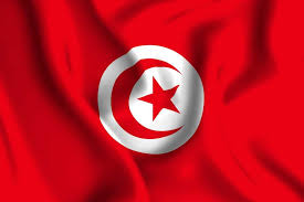 Tunisia Launches E Dinar Coin The Cryptonomist