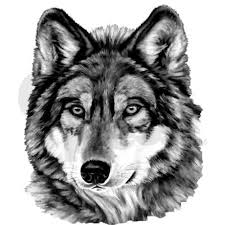 Black And Grey Wolf With Blue Eyes Amazing Magnet Puzzle Pen Toy Wolf With Blue Eyes Realistic Eye Drawing Wolf Painting