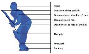 How To Increase Hitting Power In Cricket | Cricketbio