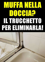 Basta Muffa Ecco Cosa Fare Cleaning Household Diy Cleaning Products Clean House