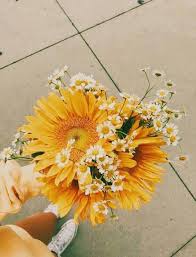 Pinterest Insta Missmegs0802 Flower Aesthetic Beautiful Flowers Pretty Flowers