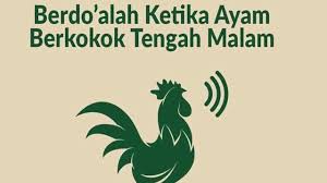 Arti ayam berkokok tengah malam menurut islam, arti ayam berkokok di malam hari menurut islam, arti ayam berkokok jam 10. Tanda Ayam Berkokok Malam Hari Blog Spots