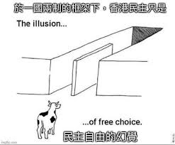 sweet dream on instagram 自治已死 22條 一國一制 基本法 廿二條 中聯辦 ig hk resistance editor in 2020 illusions sweet dreams letters