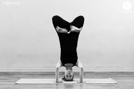 Padma Sirsasana Lotus Head Stand Yogea Yoga Outside Of The Box