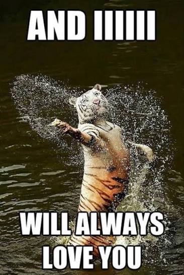 images?q=tbn:ANd9GcSU9PEhY9IvICFEOBnoIOK6yikzAgx77Yy5DGEVJiaIONp8u-qIv_-fOXMj&s=10