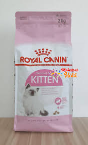 Makanan kucing blackwood vs royal canin. Jual Makanan Kucing Royal Canin Kitten 2kg 2 Kg Freshpack Makassar Hobi