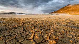 An insured owns a 50000 whole life policy. The Dangers Of Life Insurance Policy Loans Forbes Advisor