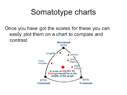 Individual Differences Ppt Video Online Download