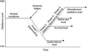 A Deeper Meaning Of Resilience
