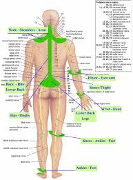 51 Right Nerve Endings In Feet Chart