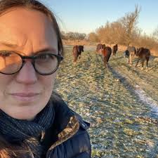 David Stark: "I extracted over 400 images of…"