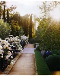 Rose Garden Dream Garden Outdoor Gardens Beautiful Gardens