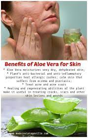 7 Amazing Homemade Beauty Products With Aloe Vera Aloe Vera For Skin Aloe Vera Skin Care Aloe Vera Recipes