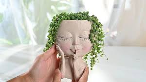 Amazon.com : String of Pearls (4-inch), Succulents Plants Live, Succulent  Plants Fully Rooted in Pots with Soil, Easy-Care House Plant for DIY, Home  Office Decor, Wedding Party Favor : Patio, Lawn &