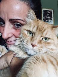 We have insulin Lantus to donate if necessary to any diabetic cat who lives  in Buenos Aires.