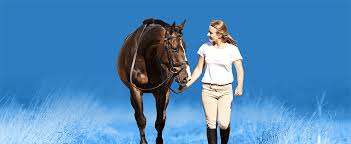 Seib insurance brokers, south ockendon, thurrock, united kingdom. Global Equestrian Insurance Market 2020 Top Key Players Nfu Mutual American Equine Insurance Group Gow Gates Owned