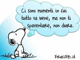 Momenti Che Va Tutto Bene Citazioni Divertenti Citazioni Sarcastiche Citazioni Umoristiche