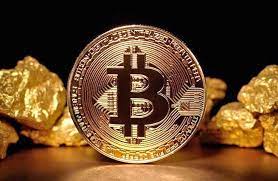 Now, i do not know much about who they are. What Is Bitcoin Gold Cointral Com Buy Bitcoin With Credit Card