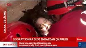 Buse Siz Kopekleri Salin Ben Kedi Sesi Cikartayim Youtube
