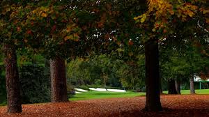 We provide wide range of tree services at augusta tree services, our company by leveraging off of our skills & experience, we ensure augusta tree removal to be a very pleasant experience for you. Has Augusta National Been Adding Secret Trees To Guard The Golf Course