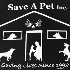 Priceless pet rescue will provide you with the necessary information and support needed. Save A Pet Forsyth Ga Home Facebook