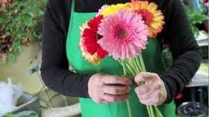 Discover how to make a bouquet full of gerbera daisies with these simple instructions. Diy How To Make Your Own Wedding Bouquet With Gerbera Daisies Youtube