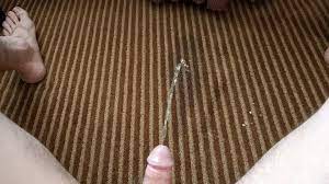 Carpet pissing: Guy pisses on hotel carpet… ThisVid.com
