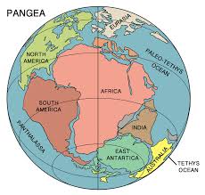 Some of the worksheets for this concept are continental drift, continental drift and plate tectonics, continental drift, continental drift sea floor spreading and plate tectonics, continental drift, plate tectonics vocabulary, book problem, the structure of the earth plate tectonics and landforms. Continental Drift Read Earth Science Ck 12 Foundation